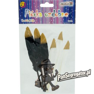 Piórka ozdobne 6 szt. 16,5 cm PD-3257