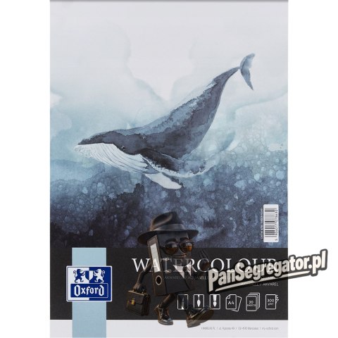 Blok do akwareli A4 20 kartek 300g 4-stronnie klejny ARTISTIC 400183972 OXFORD