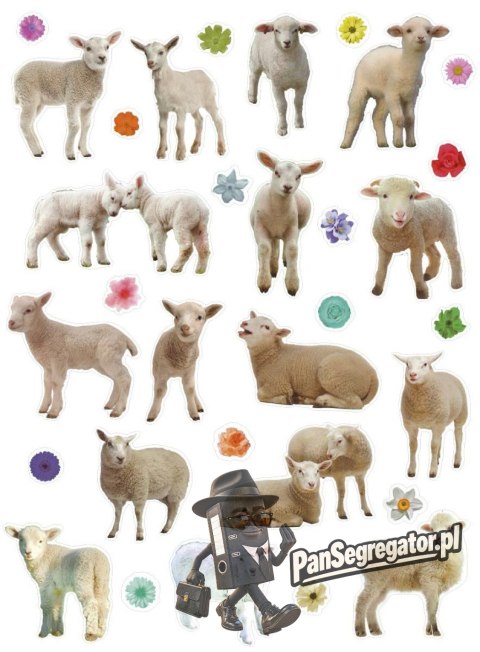 Naklejka Craft-Fun Series Sheep 490754 TITANUM