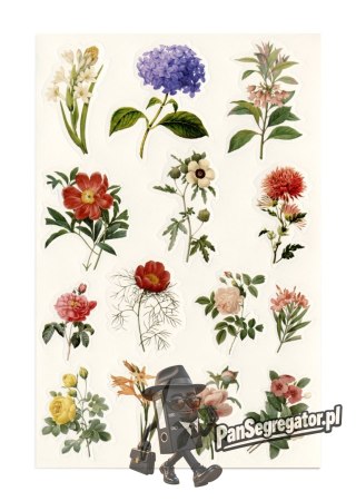 Naklejki LETNIE KWIATY (54 szt.) 254049 Galeria Papieru