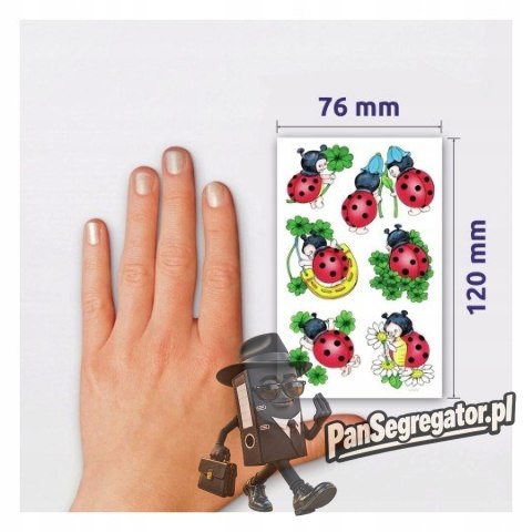 Naklejki ZF Biedronka 53281 Z-DESIGN CREATIVE AVERY ZWECKFORM