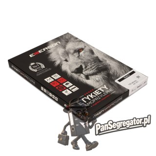 Etykiety A4 białe (100ark) 70x42.3mm nr017 EMERSON eta4070x423