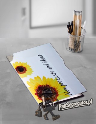 Folie samoprzylepne A4 0.17mm przezroczyste INK 50 ark. ZF2501 AVERY ZWECKFORM