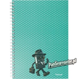 Kołonotatnik Colour`Breeze A5 w kratkę zielony 628467 ESSELTE