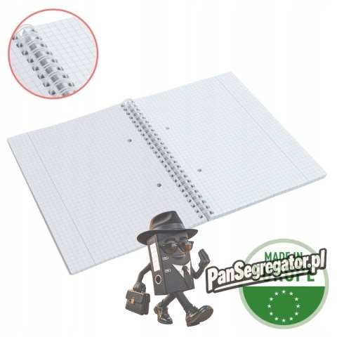 Kołonotatnik Colour`Breeze A5 w kratkę zielony 628467 ESSELTE