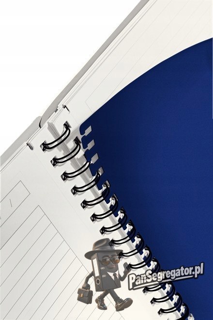 Kołonotatnik Get Organized EXECUTIVE A4 PP linia 44660000 LEITZ