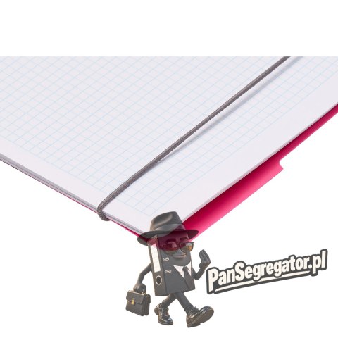 Kołozeszyt A5 80k kratka ECO PP COLORS różowy 400198751 HERLITZ