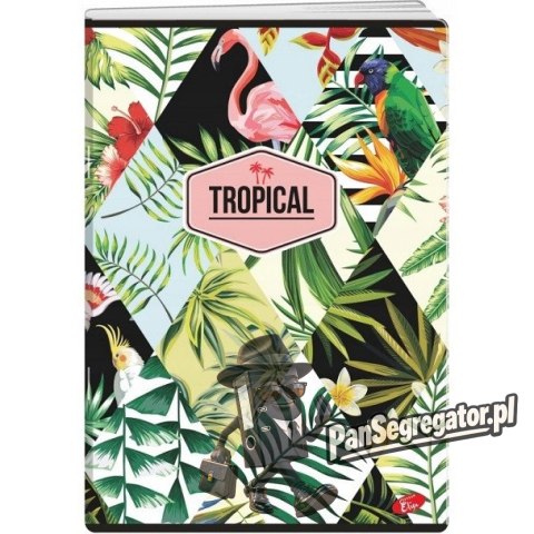 Zeszyt A5 60k linia okładka miękka TROPICAL EL-M10-060-LA5 ELISA