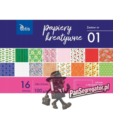 Zeszyt papierów kreatywnych A5 16k 100g KB029-01 TETIS