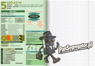 Zeszyt A5 60k kratka 70g ze ściągami BIOLOGIA 400169460 TOP 2000