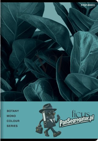 Zeszyt A5 60k kratka margines BOTANY 400182432 TOP 2000