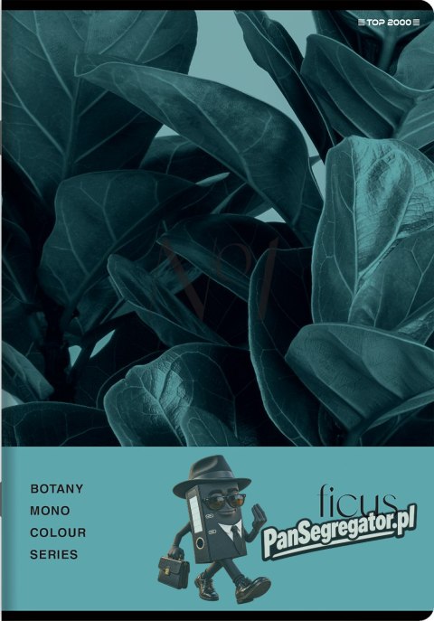 Zeszyt A5 60k kratka margines BOTANY 400182432 TOP 2000
