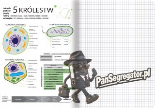 Zeszyt A5 60k kratka margines ściągi BIOLOGIA 400181529 TOP 2000