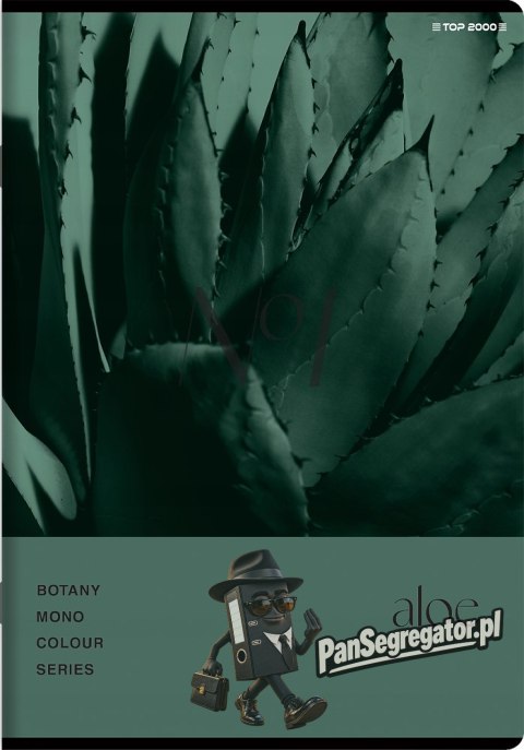 Zeszyt A5 80k kratka margines BOTANY 400181619 TOP 2000