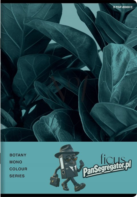 Zeszyt A5 80k kratka margines BOTANY 400181619 TOP 2000