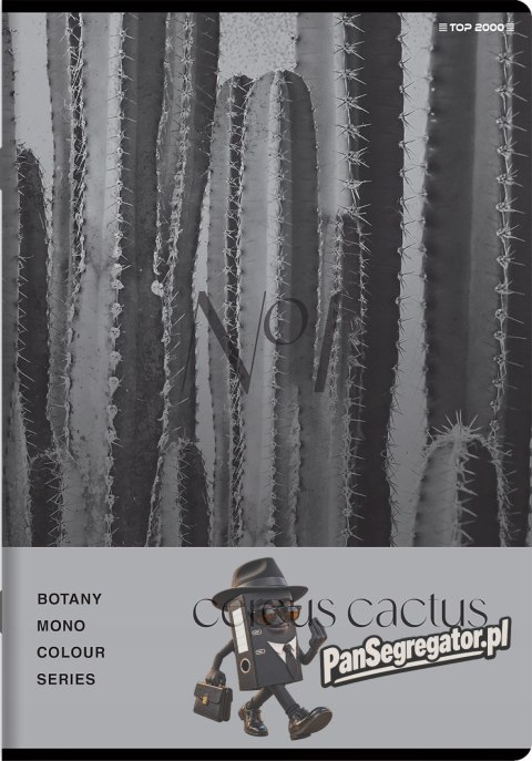 Zeszyt A5 80k kratka margines BOTANY 400181619 TOP 2000