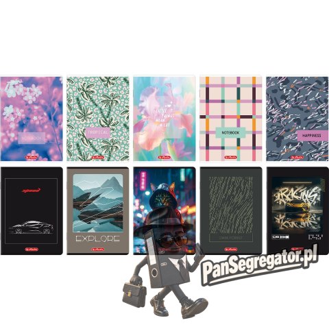 Zeszyt A5 96k kratka z marginesem mix 400206359 HERLITZ