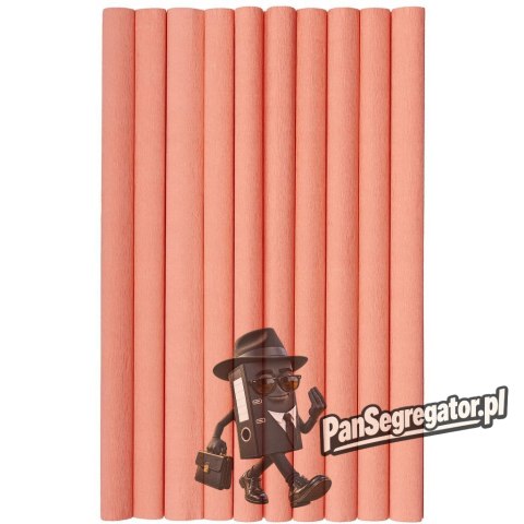 Bibuła marszczona (10 rolek) 50x200cm łososiowy 400153898 HERLITZ