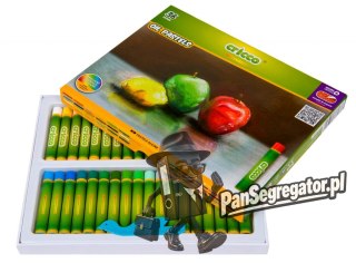 Kredki CRICCO pastele olejowe 36kolorów CR481K36/A