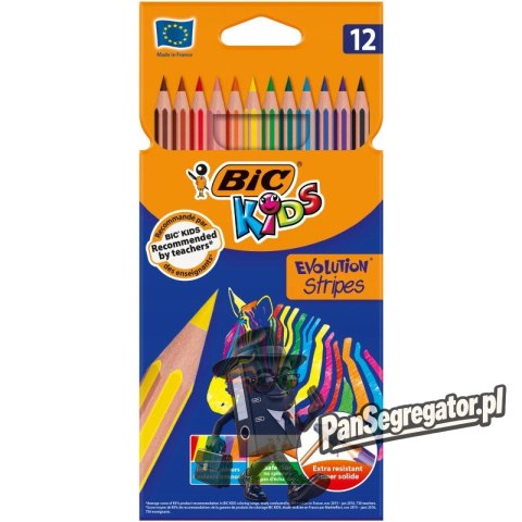 Kredki Eco Evolution Stripes 12kolorów 82902910 BIC