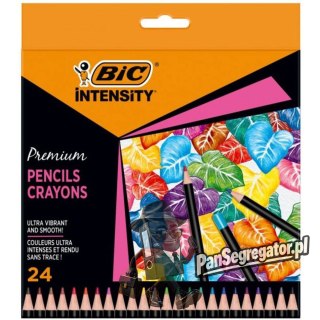 Kredki ołówkowe Intensity Premium w pudełku 24 kolory 9678231 BIC