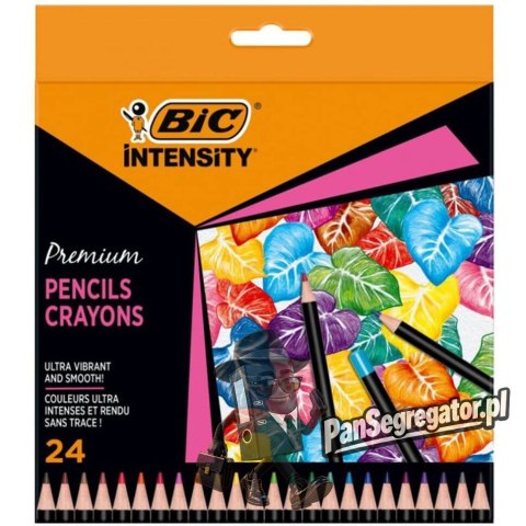 Kredki ołówkowe Intensity Premium w pudełku 24 kolory 9678231 BIC