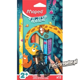 Kredki trójkątne JUMBO JUNGLE FEVER 12 sztuk 863700 MAPED
