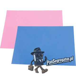 Podkładka ceratka ochronna do zajęć plastycznych 0339-0002-99 Panta Plast