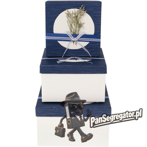 Zestaw pudełek ozdobnych KWADRAT WRZOS/BLUE (3szt) ROZETTE