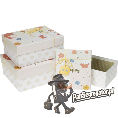 Zestaw pudełek ozdobnych PUD-22194-PR (3szt) ROZETTE