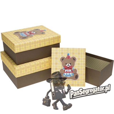 Zestaw pudełek ozdobnych PUD-22196-PR (3szt) ROZETTE