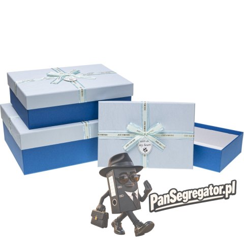 Zestaw pudełek ozdobnych PUG-23253-PR L-BLUE (3szt) ROZETTE
