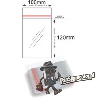 Torebki strunowe 100x120mm (100szt) (B3-SW-0065)