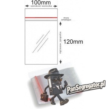Torebki strunowe 100x120mm (100szt) (B3-SW-0065)