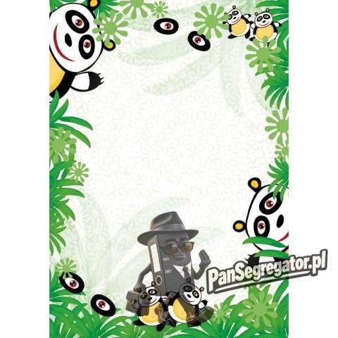 Dyplom A4 PANDA 170g. (25ark.) 214717 Galeria Papieru