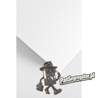 Karton ozdobny A4 Czerpany biały 240g. (20ark.) 201431 Galeria Papieru