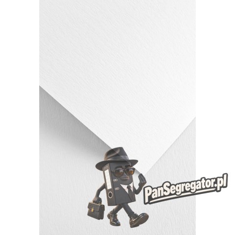Karton ozdobny A4 Czerpany biały 240g. (20ark.) 201431 Galeria Papieru