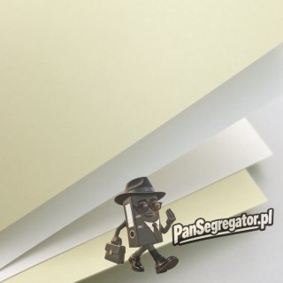 Karton ozdobny A4 GŁADKI biały 250g (20ark) 202801 Galeria Papieru