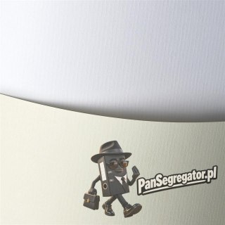 Karton ozdobny A4 LAID biały 120g (50ark.) 206001 Galeria Papieru