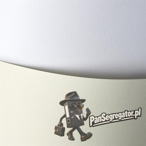 Karton ozdobny A4 LAID biały 120g (50ark.) 206001 Galeria Papieru