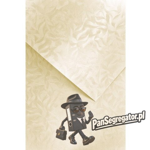 Karton ozdobny A4 OLYMPIA kremowy 220g (20) 203422 GALERIA PAPIERU
