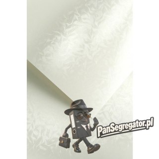 Karton ozdobny A4 OLYMPIA perłowa biel 220g (20) 203403 GALERIA PAPIERU