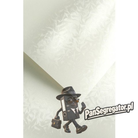 Karton ozdobny A4 OLYMPIA perłowa biel 220g (20) 203403 GALERIA PAPIERU