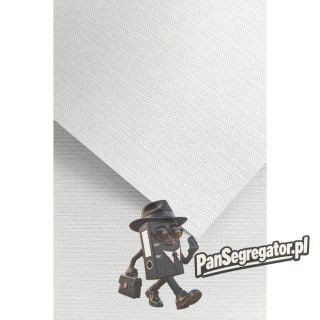 Karton ozdobny A4 RYPS biały 240g. (20ark.) 201811 Galeria Papieru