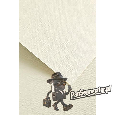 Karton ozdobny A4 RYPS kremowy 180g. (20ark.) 201822 Galeria Papieru