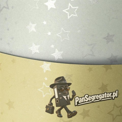 Karton ozdobny A4 STARS srebrny 220g (20ark.) 204305 Galeria Papieru