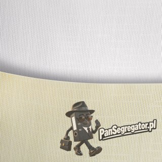 Karton ozdobny A4 Sukno kremowy 180g (20ark) 204102 Galeria Papieru