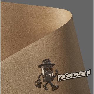 Karton ozdobny KRAFT ciemnobeżowy 230g. (20) 204426 Galeria Papieru