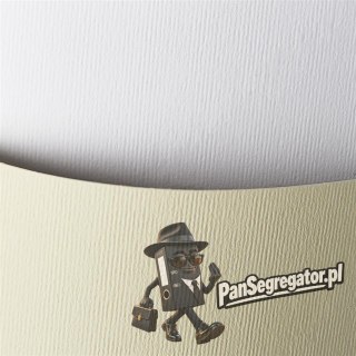 Karton ozdobny NATTE kremowy 120g. (50ark.) 206112 Galeria Papieru