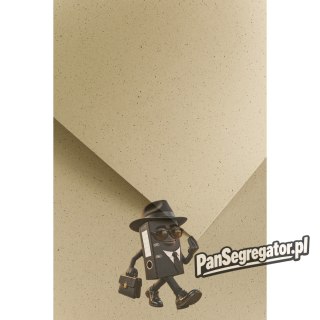 Karton ozdobny PEPPER brązowy 220g. (20ark.) 205218 Galeria Papieru
